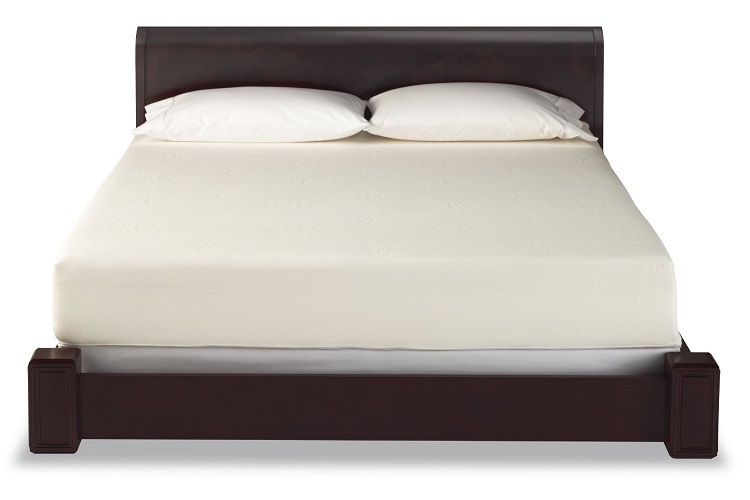 best rated mattresses for back pain